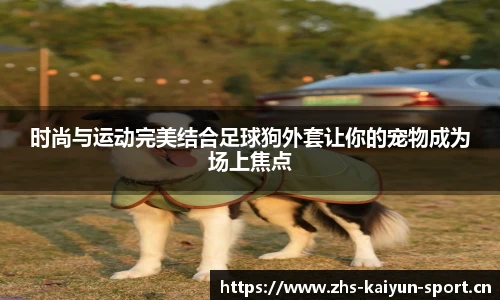时尚与运动完美结合足球狗外套让你的宠物成为场上焦点